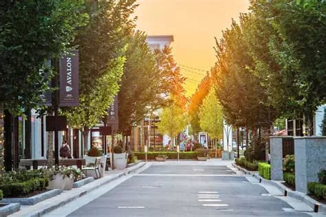 Alpharetta, Georgia tree service