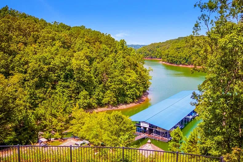 Gainesville, Georgia tree service